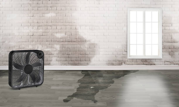Best Ceiling water damage repair  in Oxford, GA