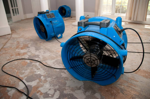 Best 24/7 water damage repair  in Oxford, GA