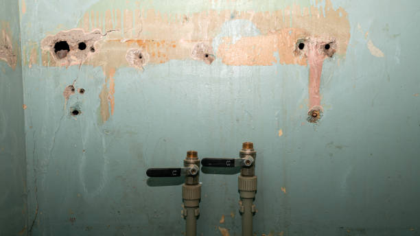 Best Mold removal after water damage  in Oxford, GA