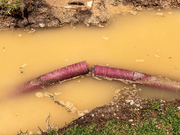 Best Carpet water damage restoration  in Oxford, GA