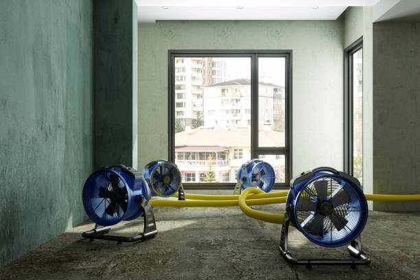 Best Residential water damage restoration  in Oxford, GA